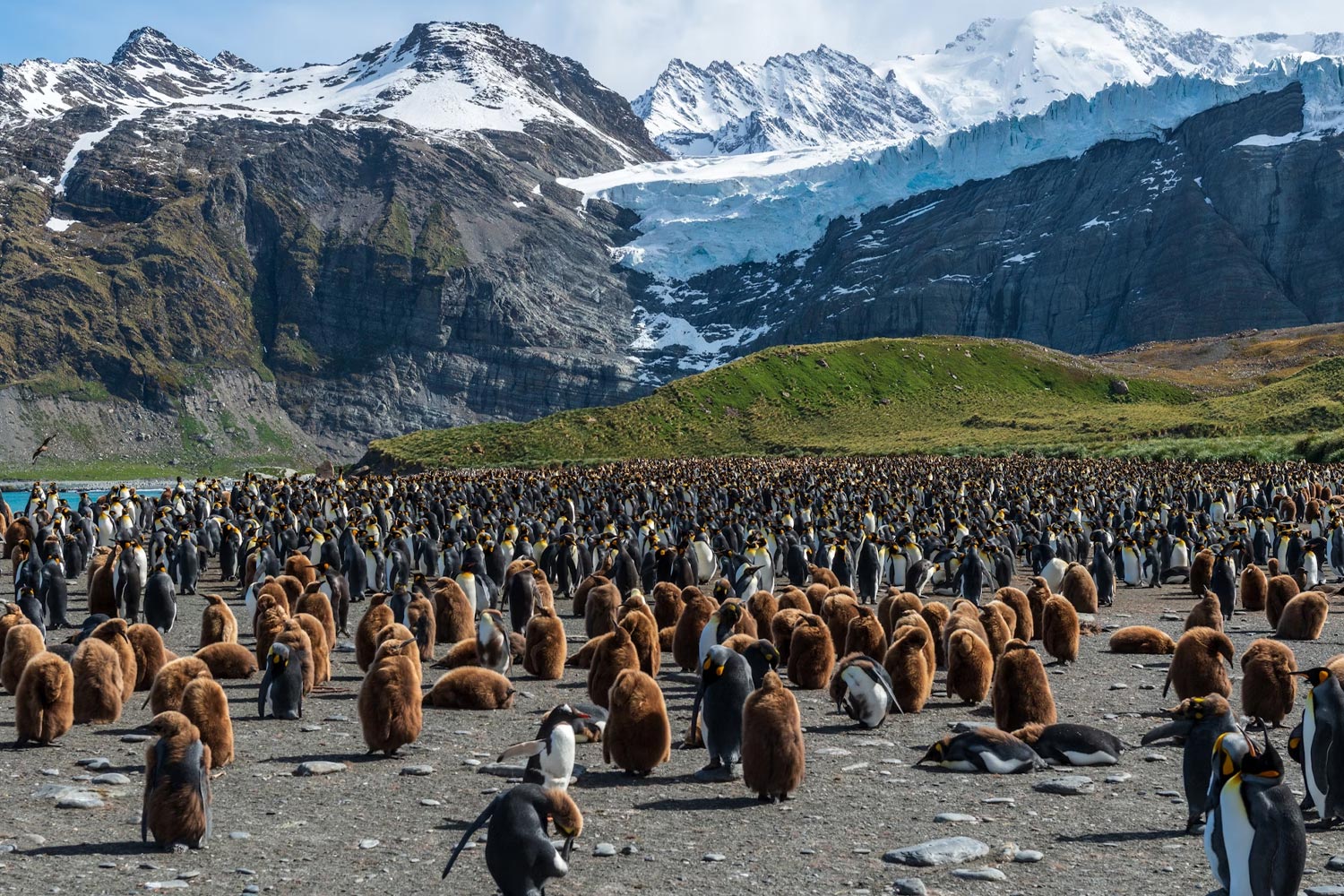 Antarctica