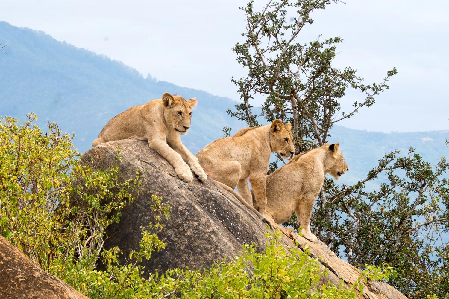 Kenya