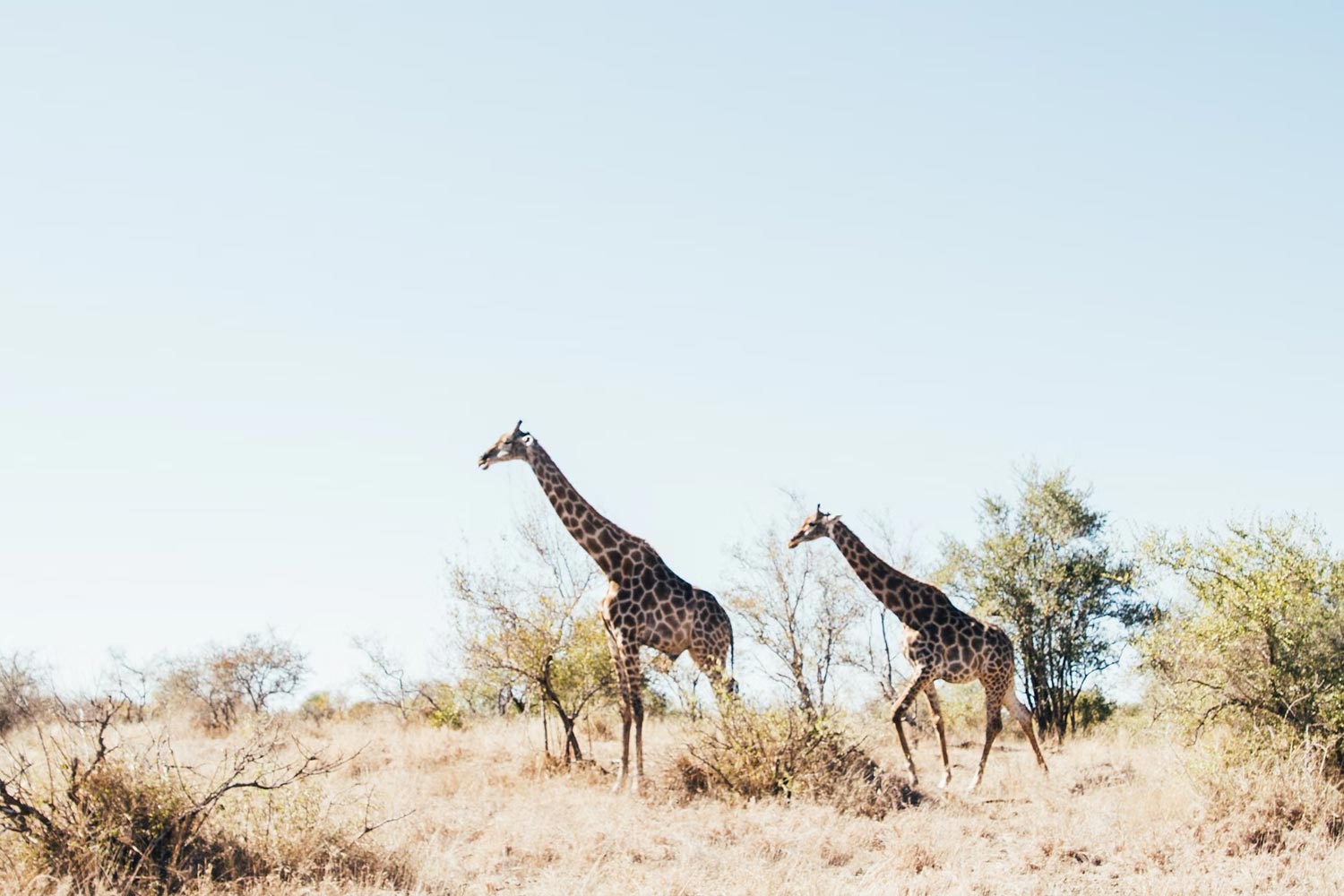 Rwanda
