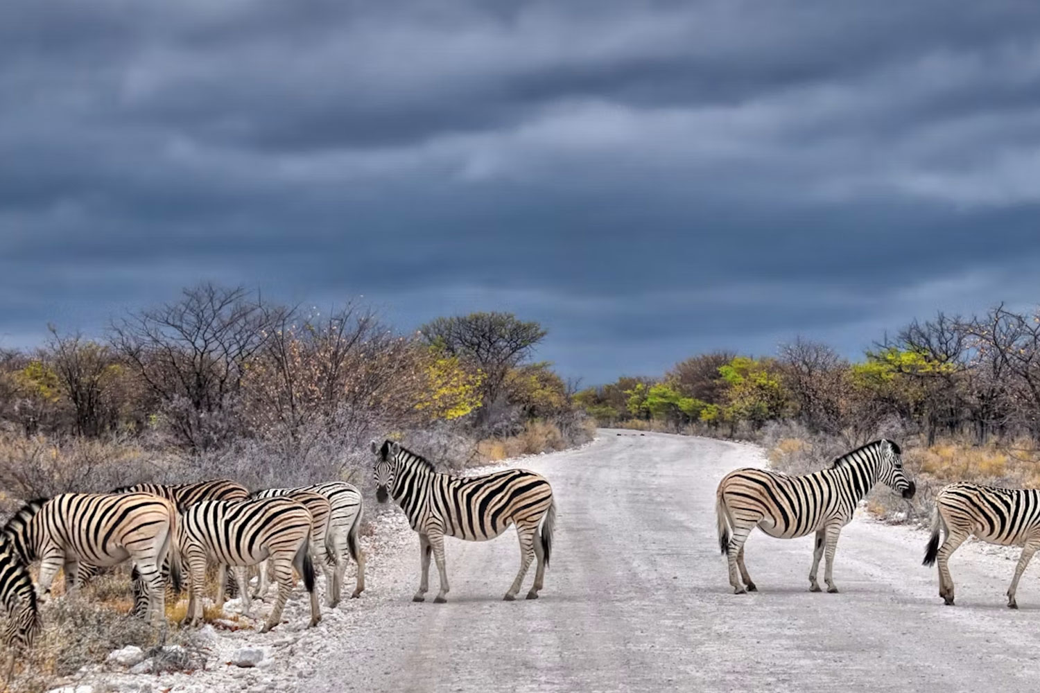Namibia